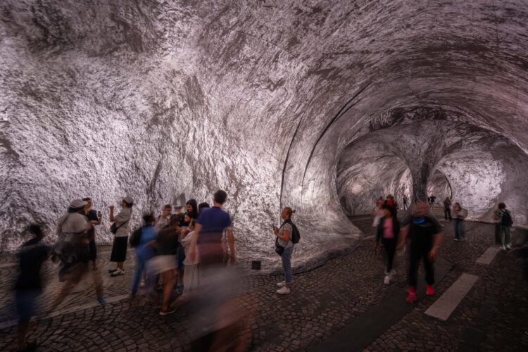 Monumental cave art on Paris’ oldest bridge  finally opens, as the public steps and sniffs inside